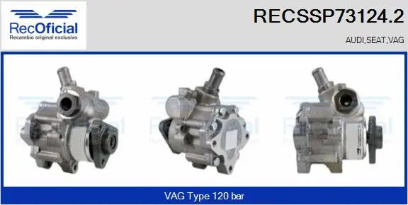 Hydraulic Pump, steering (RECSSP73124.2)