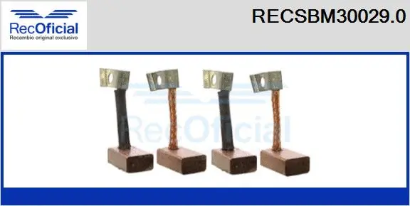 Carbon Brush, starter (RECSBM30029.0)