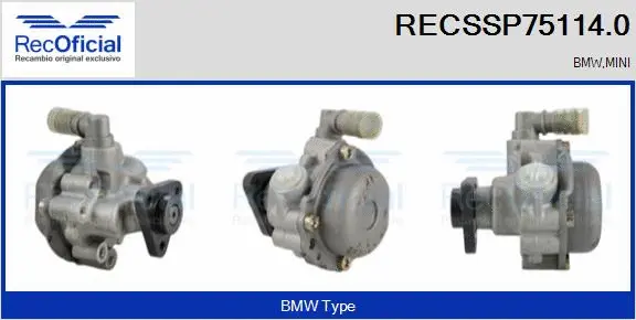 Hydraulic Pump, steering (RECSSP75114.0)