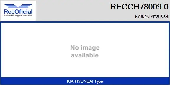 Core assembly, turbocharger (RECCH78009.0)