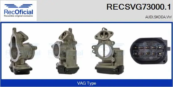EGR Valve (RECSVG73000.1)