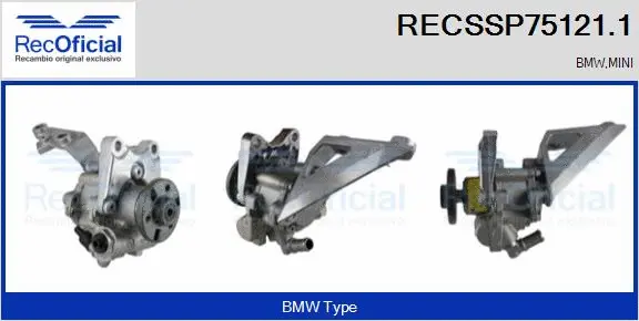 Hydraulic Pump, steering (RECSSP75121.1)