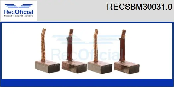 Carbon Brush, starter (RECSBM30031.0)