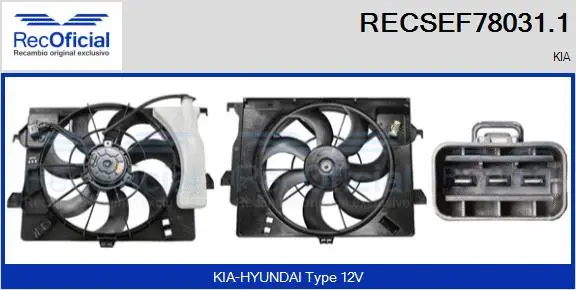 Electric Motor, radiator fan (RECSEF78031.1)