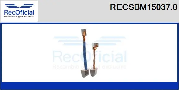 Carbon Brush, starter (RECSBM15037.0)