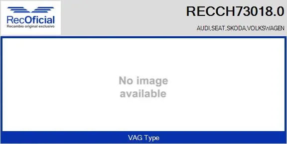 Core assembly, turbocharger (RECCH73018.0)