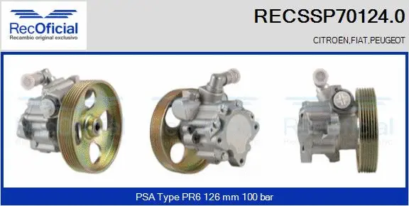 Hydraulic Pump, steering (RECSSP70124.0)