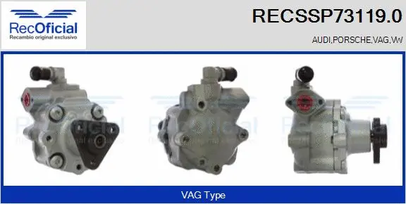 Hydraulic Pump, steering (RECSSP73119.0)