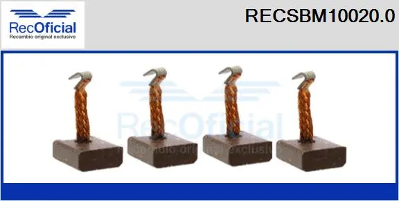 Carbon Brush, starter (RECSBM10020.0)