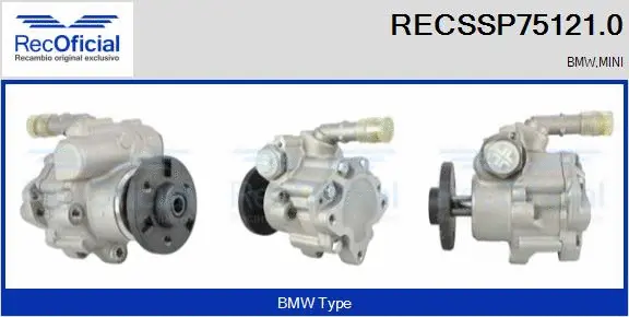 Hydraulic Pump, steering (RECSSP75121.0)