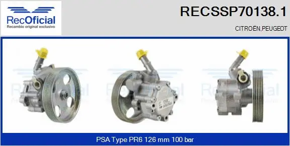 Hydraulic Pump, steering (RECSSP70138.1)