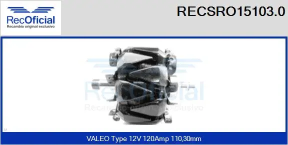 Rotor, alternator (RECSRO15103.0)