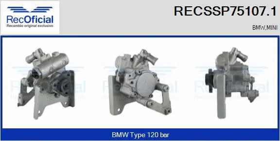 Hydraulic Pump, steering (RECSSP75107.1)