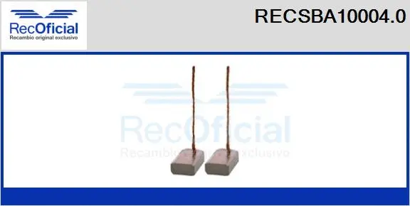 Carbon Brush, alternator (RECSBA10004.0)