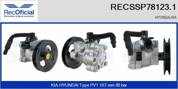 Hydraulic Pump, steering (RECSSP78123.1)