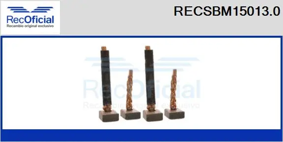 Carbon Brush, starter (RECSBM15013.0)