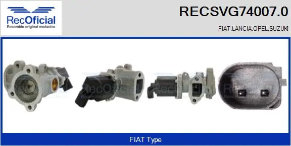 EGR Valve (RECSVG74007.0)