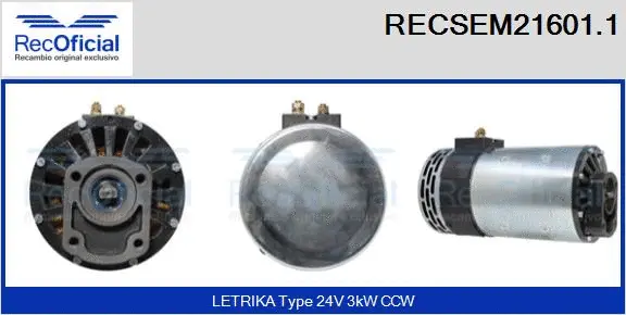Electric Motor (RECSEM21601.1)