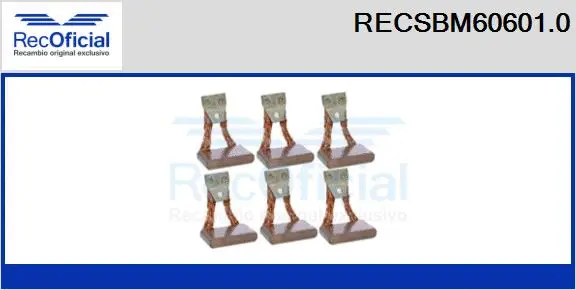 Carbon Brush, starter (RECSBM60601.0)