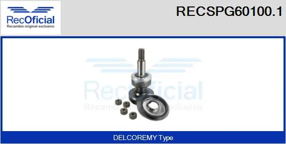 Repair Kit, planetary gearbox starter (RECSPG60100.1)