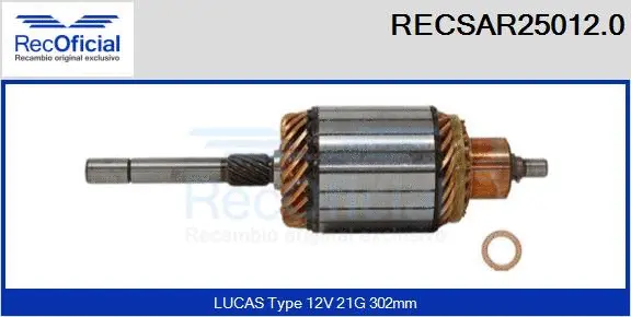 Armature, starter (RECSAR25012.0)