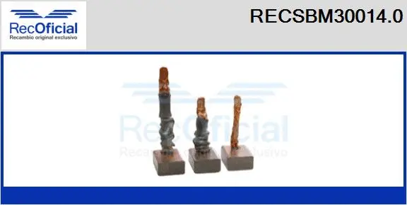 Carbon Brush, starter (RECSBM30014.0)
