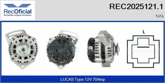 Alternator (REC2025121.1)