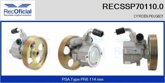 Hydraulic Pump, steering (RECSSP70110.0)