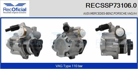 Hydraulic Pump, steering (RECSSP73106.0)