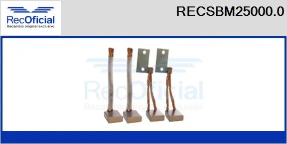 Carbon Brush, starter (RECSBM25000.0)
