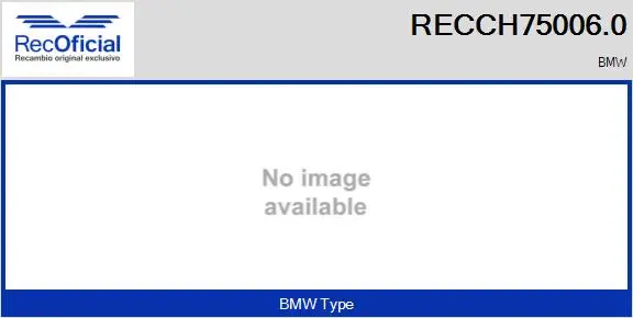 Core assembly, turbocharger (RECCH75006.0)