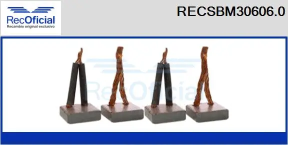 Carbon Brush, starter (RECSBM30606.0)