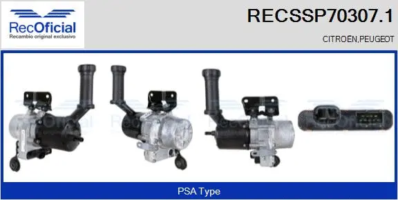 Hydraulic Pump, steering (RECSSP70307.1)