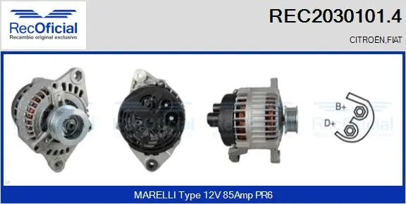 Alternator (REC2030101.4)