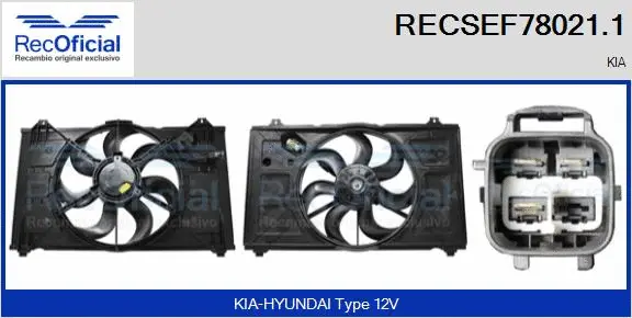 Electric Motor, radiator fan (RECSEF78021.1)