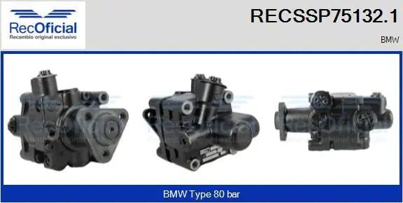 Hydraulic Pump, steering (RECSSP75132.1)