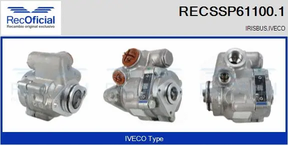 Hydraulic Pump, steering (RECSSP61100.1)