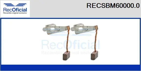 Carbon Brush, starter (RECSBM60000.0)