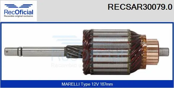 Armature, starter (RECSAR30079.0)
