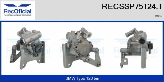 Hydraulic Pump, steering (RECSSP75124.1)