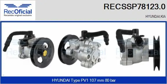 Hydraulic Pump, steering (RECSSP78123.0)