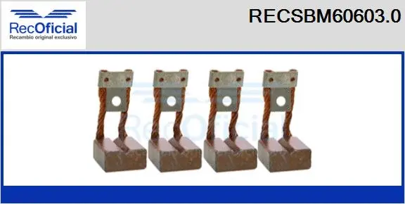 Carbon Brush, starter (RECSBM60603.0)