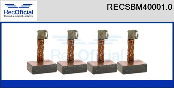 Carbon Brush, starter (RECSBM40001.0)