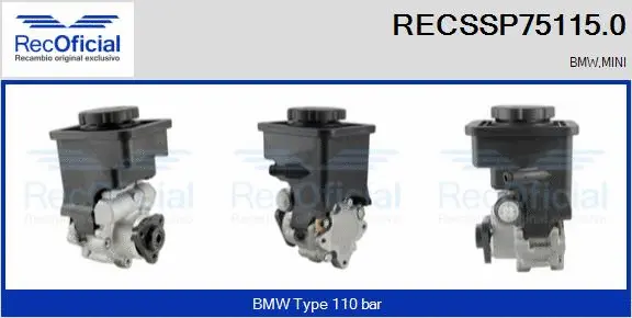 Hydraulic Pump, steering (RECSSP75115.0)