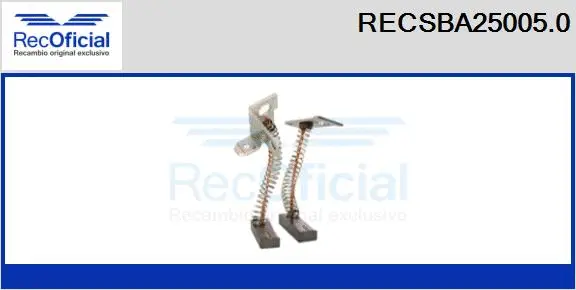 Carbon Brush, alternator (RECSBA25005.0)