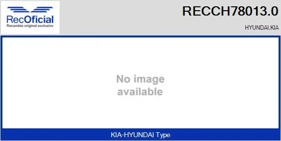 Core assembly, turbocharger (RECCH78013.0)