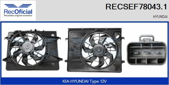 Electric Motor, radiator fan (RECSEF78043.1)