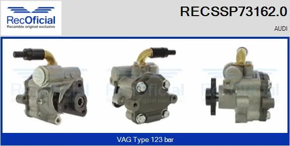 Hydraulic Pump, steering (RECSSP73162.0)