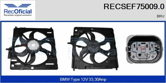 Electric Motor, radiator fan (RECSEF75009.0)