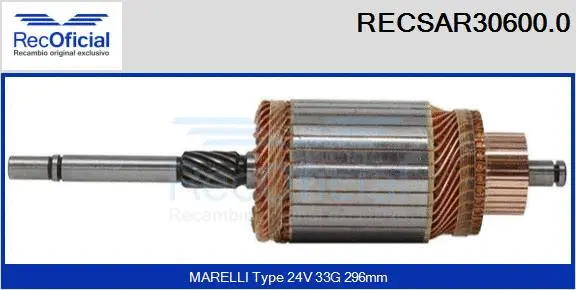 Armature, starter (RECSAR30600.0)